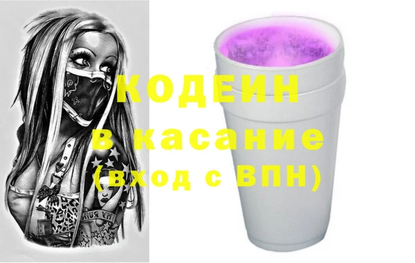 сатива Беломорск