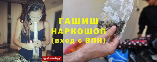 шишки Белоозёрский