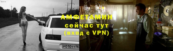 сатива Беломорск