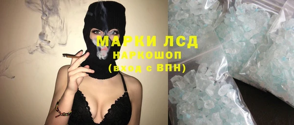 сатива Беломорск