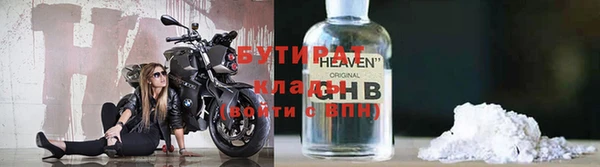 сатива Беломорск