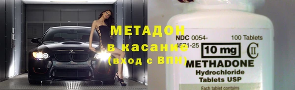 сатива Беломорск