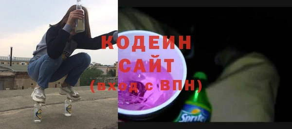 шишки Белоозёрский