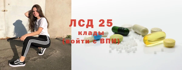 сатива Беломорск
