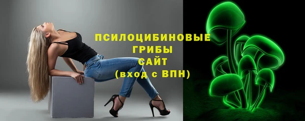 шишки Белоозёрский