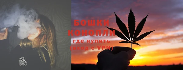 шишки Белоозёрский