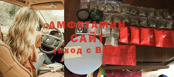 шишки Белоозёрский