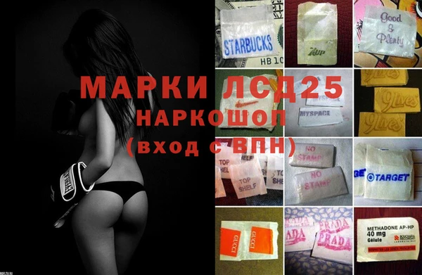 гидропоника Белокуриха