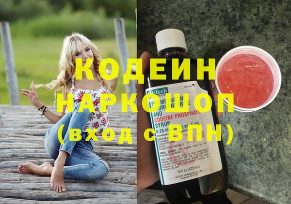 шишки Белоозёрский