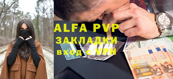 сатива Беломорск
