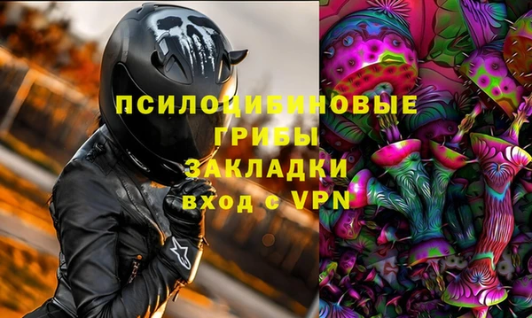 гидропоника Белокуриха